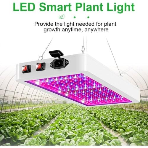 LED Plant Lamps VBS China