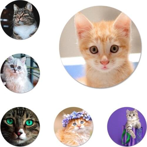 Cute pet cat Badge Brooch Pin Accessories For Clothes Backpack Decoration gift