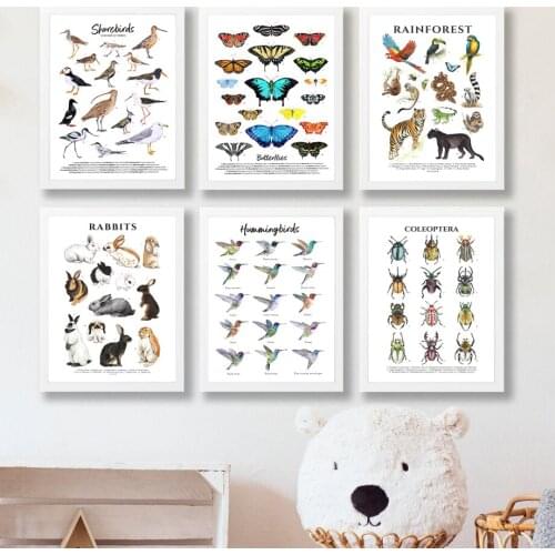 Rainforest Animals Insects Rabbit Birds Collection Wall Art Canvas Painting Posters And Prints Kids Room Nordic Style Decoration