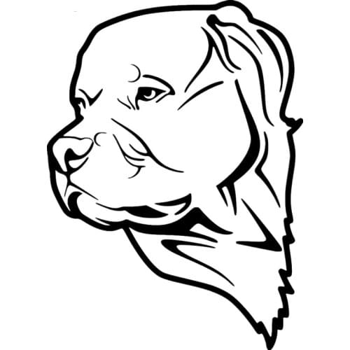 Car For Auto Car Bumper Window Vinyl Decal Sticker Decals Deco Handsome And Cool Stickers