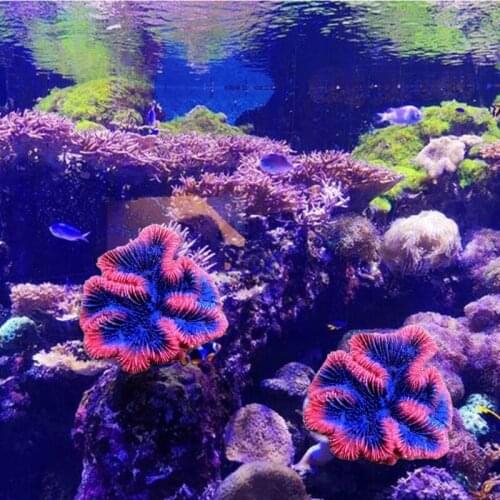Artificial Coral Plant Polyresin Coral Reef Ornaments Aquarium Decor for Fish Tank Landscape Decoration
