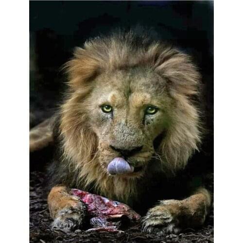 Lion prey Diamond Painting Full Square round drill Mosaic Rhinestones of Pictures 5d diy Diamond Embroidery animal decorZP-1178