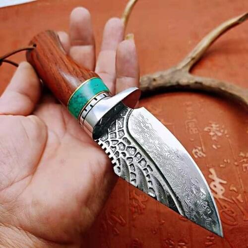 High Quality VG10 Damascus Steel Knife Brass and ebony handle Hunting Knives Outdoor Survival EDC tools