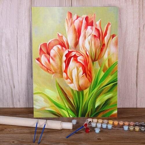 Tulips Flower Paint By Numbers Package Oil Paints 40*50 Picture By Numbers Photo Home Decor Crafts Adults Drawing