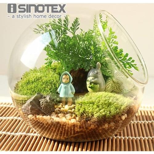 1PCS Oblique Spherical Glass Vase Flower Hydroponic Fleshy Micro Landscape Glass Bottle Moss Home Decoration