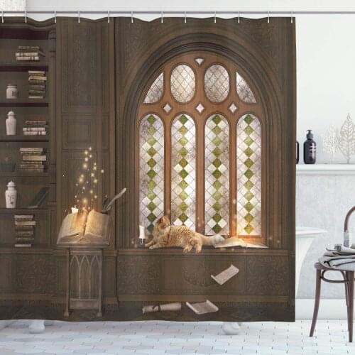 Taupe Gothic Shower Curtain Room for Study The Medieval Library Cat Sleeping on The Window Antique Mansion Bathroom Curtain