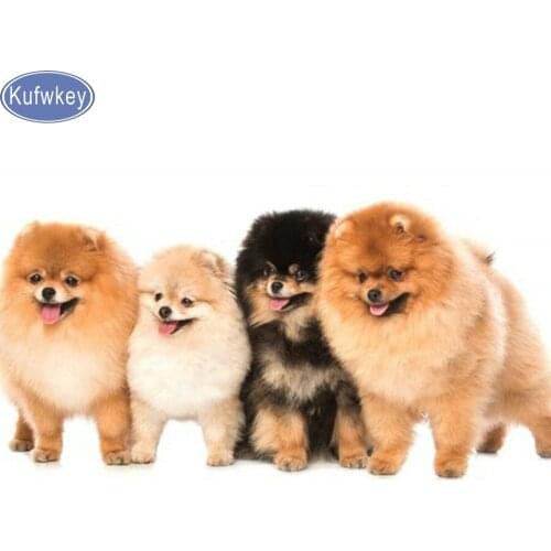 Diy,Diamond Painting dogs Cross Stitch,Full,animal diamond embroidery dogs,diamond,Mosaic,pattern,beaded embroidery,hobby,gift