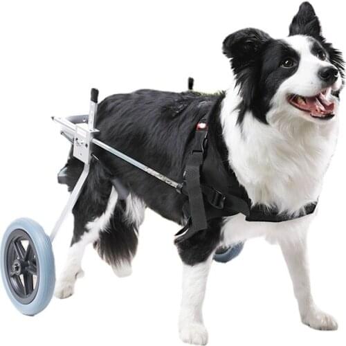 Dog Wheelchair Rear Limb Big and Small Dogs Teddy Paralysis Elderly Cat Disabled Dog Scooter Pet Rear Leg Auxiliary Bracket