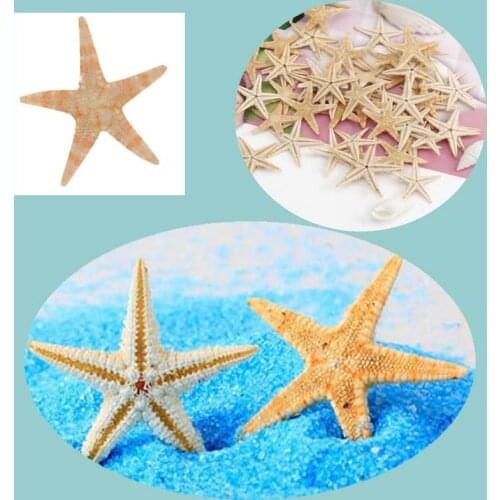 Dried Star fish Sea Star Beach Craft Wedding Party Home Decoration Gift starfish