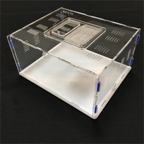 Ant grape series XL size ant nest active area ,ant farm acryl, insect nests villa new pet advanced mania for house ants