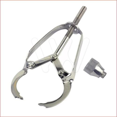 Dental Matrix Bands Retainer Tofflemire Stuck Formation Piece Clip Quality