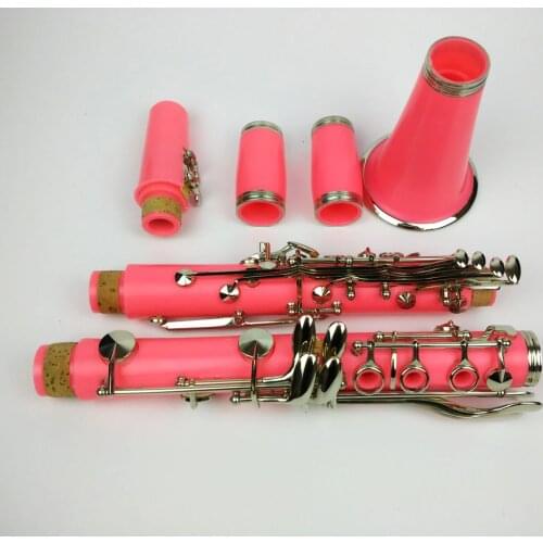 Clarinet Bb ABS Pink Color 17 key