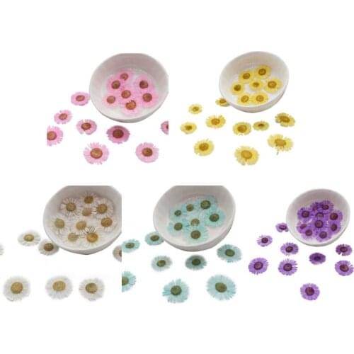 12 Pcs/Set DIY Needle Chrysanthemum Dried Flowers Resin Mold Fillings UV Expoxy Filler Flower Nail Art Pressed Flowers