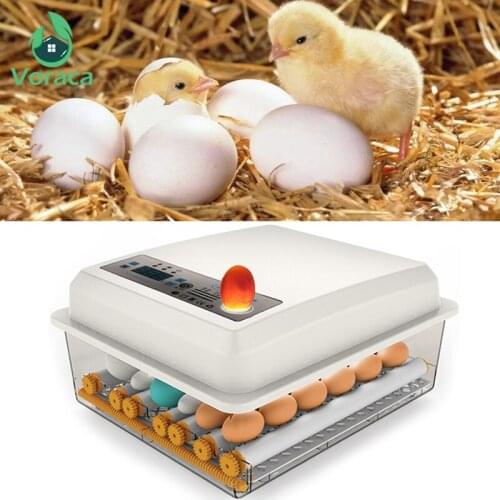 220V Eggs Incubator Brooder Bird Quail Incubator Chick Hatchery Incubator Poultry Hatcher Turner Automatic Incubation Farm Tools