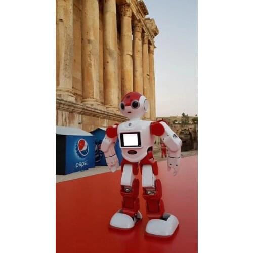 Entertainment and k12 educational Humanoid Robot Smart home control Escort monitoring Robot with SDK SPI