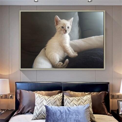 Canvas Pictures For Living Room Wall Art White Cat Animal Print Canvas Decoration Home Modern Art Nordic Posters And Prints