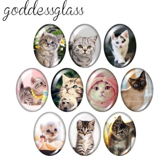 Lovely Cats Pet animals 10pcs mixed 13x18mm/18x25mm/30x40mm Oval photo glass cabochon demo flat back Making findings TB0026