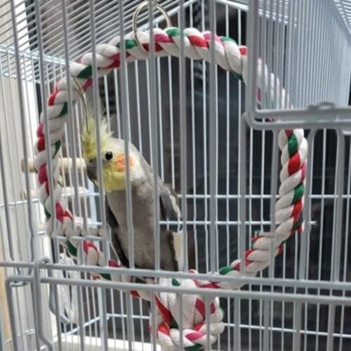 Bird Swing Rope Toy Cage Hanging Perch Climbing Toys for Small Cockatoos Green Cheek Conure Mini Macaws 2 Styles N0PA