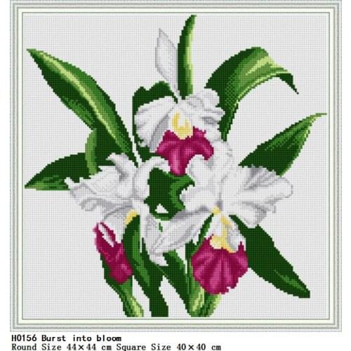 Iris Patterns DIY Diamond Flowers Painting Accessories Full Round Square Drill Painting Embroidery Household Adornment Picture