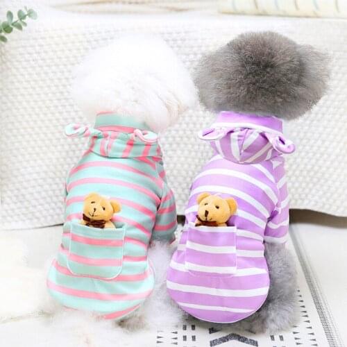 Cartoon Dog Hoodie Cat Yorkshire Pomeranian Cute Maltese Poodle Bichon Schnauzer Dachshund Clothes Winter Pet Clothing Coat