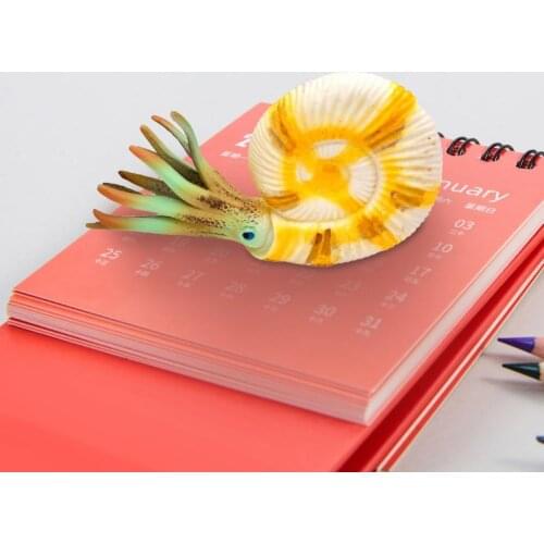 Hand Painted Easy-carrying Solid Structure Ancient Nautilus Figurine Small Size for Decoration