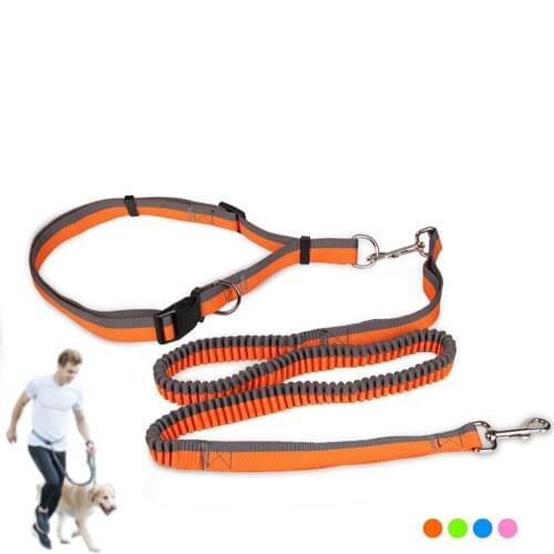 Dog Traction Rope Nylon Pet Dog Running Belt Elastic Hands Freely Jogging Pull Dog Leash Outdoor Dog Supplies