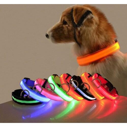 Pet USB Rechargeable LED Dog Collar Night Safety Flashing Pet Supplies Dog Accessories For Dog LED Collar