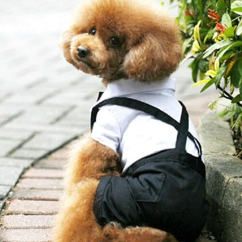 Spring and Autumn Dogs Pet Suits Four-legged Clothes Pet Clothes Pet Supplies Dog Dresses Puppy Dogs Pants