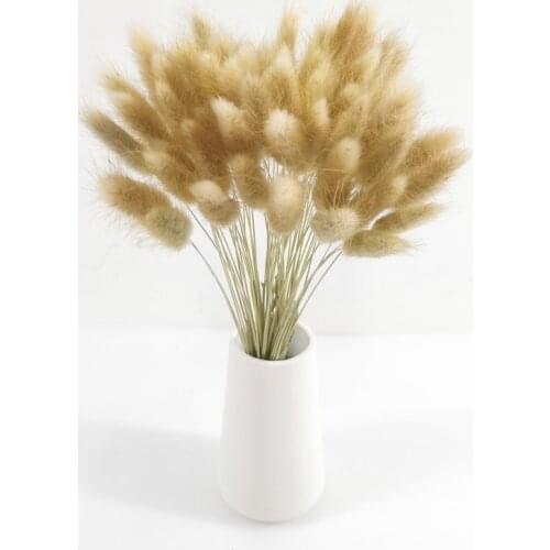 30Pcs/Lot Natural Dried Flowers Rabbit Tail Grass Pampas Bunch Lagurus Ovatus Real Flore Bouquet For Home Wedding Decoration