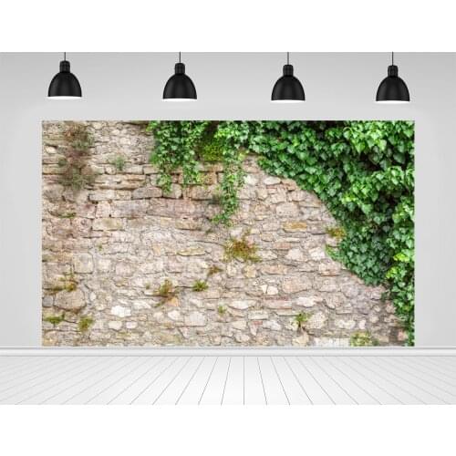 Scopiso Stone Wall Background For Photography Spring Green Plants Chic Wall Photozone Backdrop Photocall For Photo Studio Props