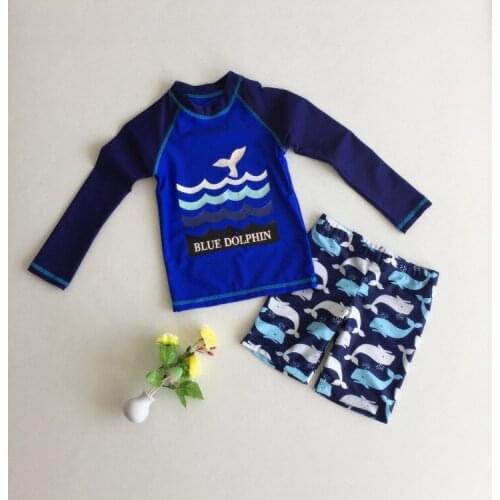 Top Quality Children Beach Swimwear Boy Swimsuit Cartoon 2 Pieces Swim Suits For Hot Springs Long Sleeve Sunblock Kids Swimsuits
