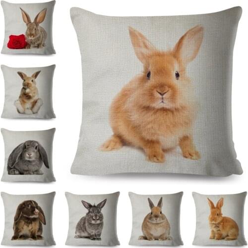 Cute Rabbit Pillowcase Decor Lovely Pet Animal Print Cushion Cover Polyester Pillow Case for Home Sofa Children Room 45x45cm