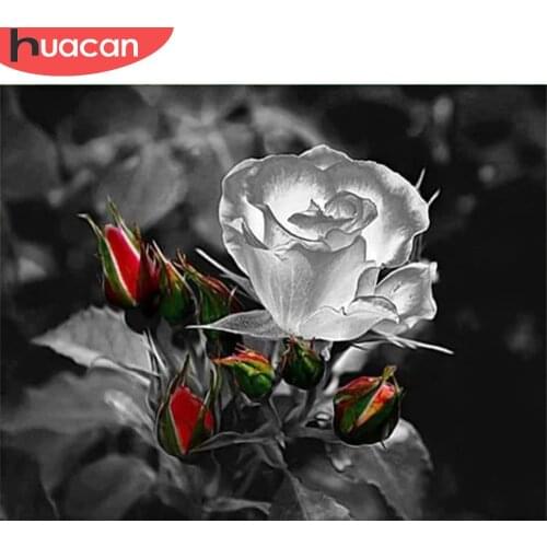 HUACAN Coloring By Number Rose Flower Kits For Adults Handpainted Drawing On Canvas DIY Painting By Number Home Decoration