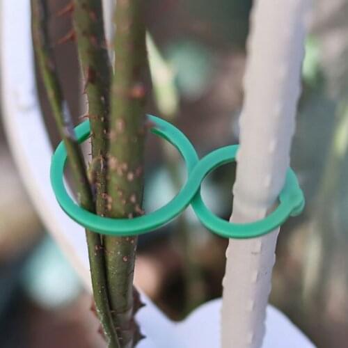 Newly 50/100 Pcs Garden Plant Holder Trellis Clips For Vine Vegetable New Tomato Growing Upright Garden Plant Stand Tool