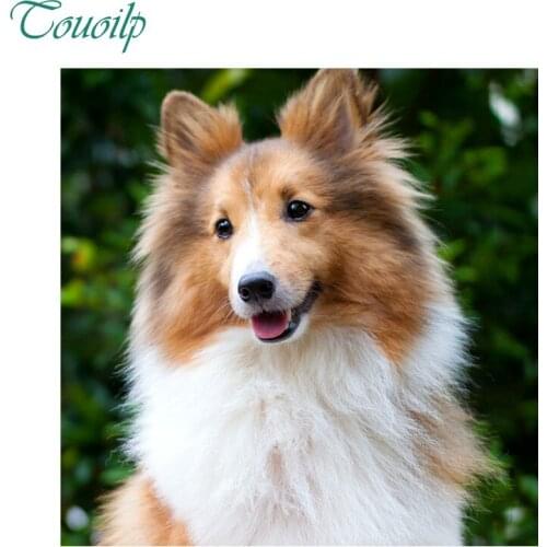 DIY Sheepdog Diamond Painting Animal Dog ,Full Square&round diamond Mosaic Pet Paintings ,3D Cross Stitch Kits Needlework Gifts