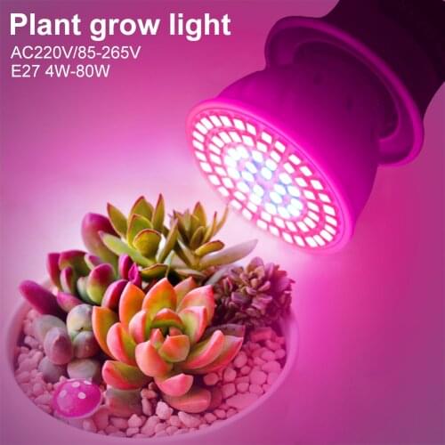 TSLEEN Plant Lamps