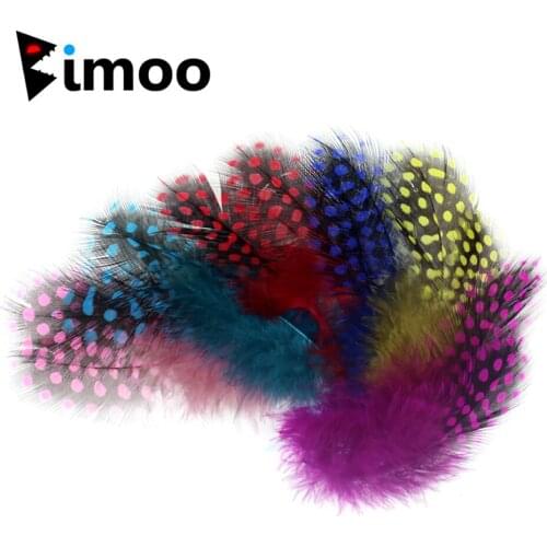 Bimoo 50PCS/Pack 100% Natural Strung Pheasant Guinea Fowl Feathers For Fly Tying Material Collars Tailing Wingcases and Cheeks