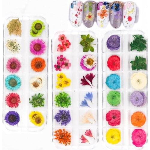 Nail Dried Flowers 3D Nail Art Supplies Stickers Decal Manicure Decor Mixed Accessories Nail Art Supplies Natural Dry Flower