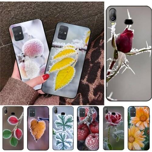 Plants frozen in winter Black TPU Soft Rubber Phone Cover For Samsung A10 A20 A30 A40 A50 A70 A80 A71 A91 A51 A6 A8 2018
