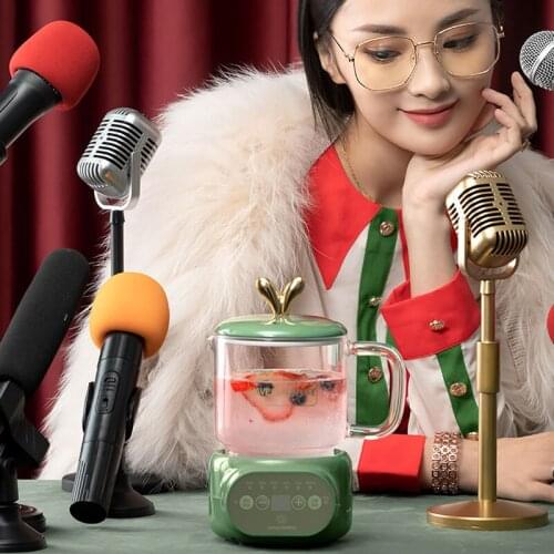 220V Health Preserving Pot Automatic Ceramic/Glass Electric Stew Cup Slow Cooker Cup Heater Mug Warmer Tea Maker Appointment