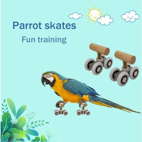 Exquisite Parrot Large Medium And Small Bird Toys Training Equipment Roller Skates Skateboard Shoes Small Pet Toy Supplies