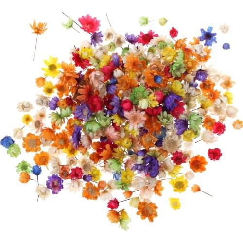 200pc Real Dried Flowers For Diy Art Craft Epoxy Resin Candle Making Jewellery Home Party Decorative Dry Press Flowers