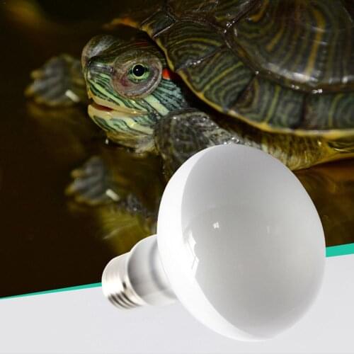 100W 220V Reptile Light Bulb Heating Lamp Vivarium Terrarium Tortoise Turtle Snake Pet Heating Light Bulb Temperature Controller