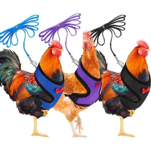 Adjustable Chicken Breast Strap Traction Belt Elastic And Comfortable Breathable Pet Breast Strap For Walking Ducks Geese Dogs