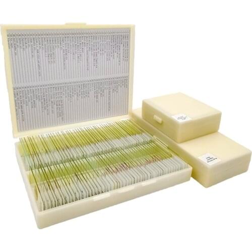 100Pcs botany tissue Microscope Glass Slides Prepared Biological slides Cover Slips in plastic box