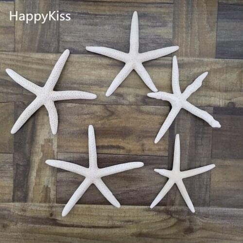 10Pcs 6-12cm White Starfish Five Finger Beach Coastal Wedding Decor Pretty Crafts sea star