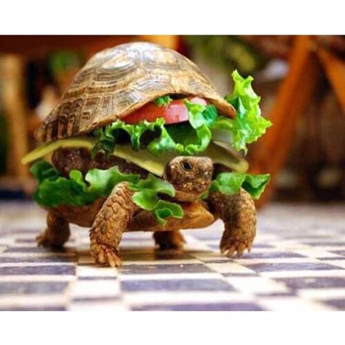 Full Square Drill 5D DIY Diamond Painting "Tortoise hamburger" handmade 3D Embroidery set Cross Stitch Mosaic Decor gift VIP