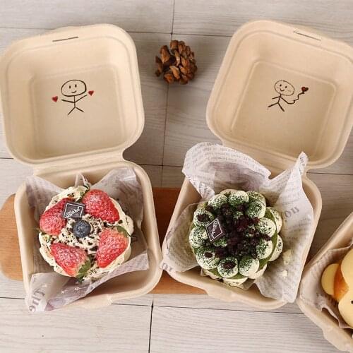 Biodegradable Cake Case Disposable Hamburger Package Box Restaurant Take-out Food Boxes Hand-painted Cake Container Mini Bento