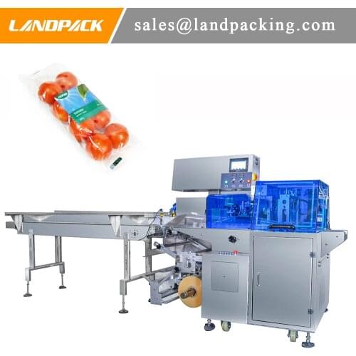 Boxless Vegetables Pillow Gusset Bag Packing Machine
