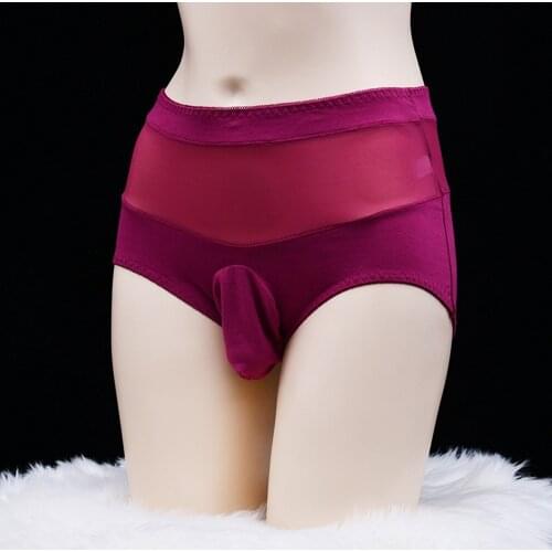 Sexy Transparent Men Cotton Sissy Pouch Panties Underwear Briefs Knickers Shorts Underpants Mesh Wrapped Egg Triangle Shorts